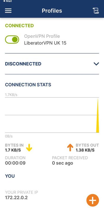 Работающее подключение OpenVPN