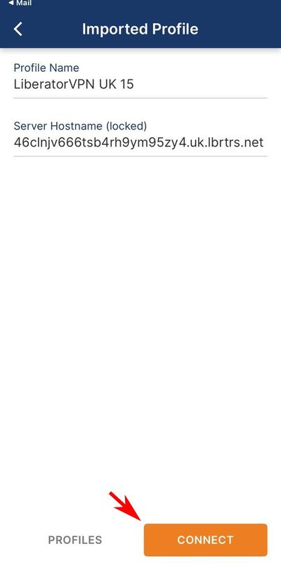 Выполнить подключение OpenVPN