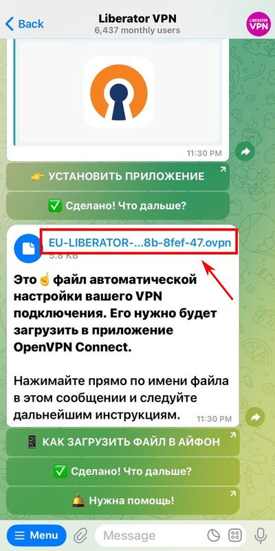 Нажимаем по имени файла в сообщении при добавлении файла в приложение на айфоне
