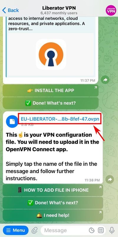 Tap the filename to add it in OpenVPN iPhone